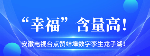 ?“幸?！焙扛?，安徽電視臺點贊蚌埠數(shù)字孿生龍子湖！